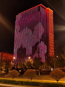 威海綠軸(zhou)中央商務區亮化工程